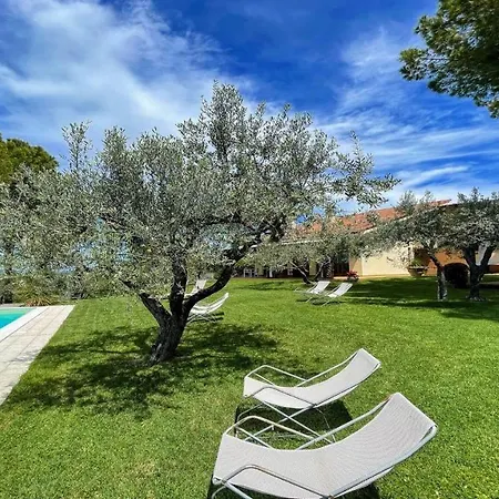 Relax In Italy S Most Famous Sagrantino Wine And Truffle Slps 15 Exc Pool * Belvedere (Perugia)