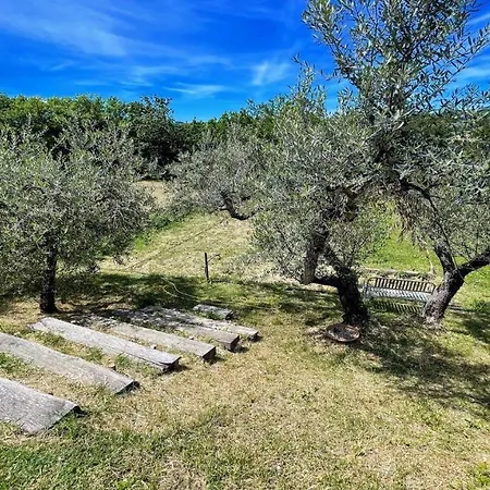 Relax In Italy S Most Famous Sagrantino Wine And Truffle Slps 15 Exc Pool Villa